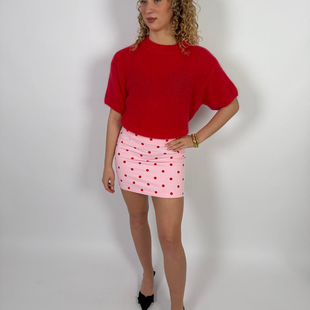 
                      
                        POLKA DOT SKIRT PINK/RED
                      
                    