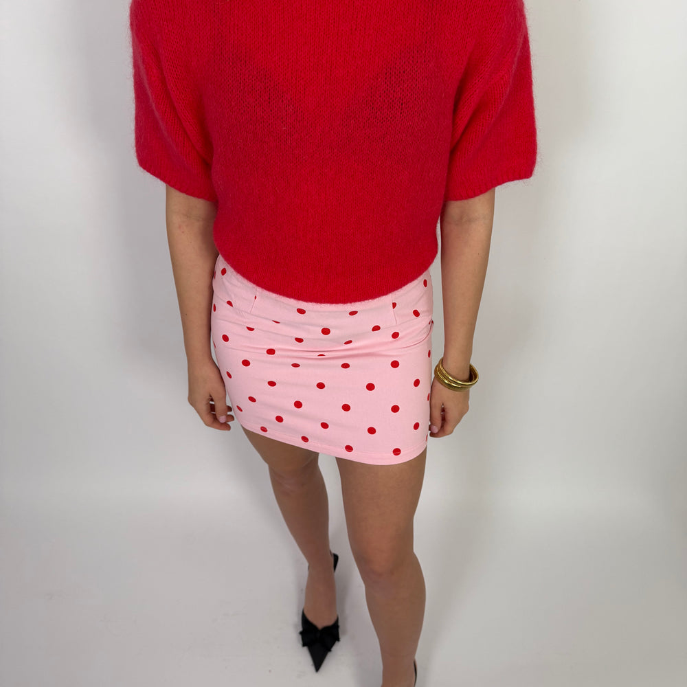 
                      
                        POLKA DOT SKIRT PINK/RED
                      
                    