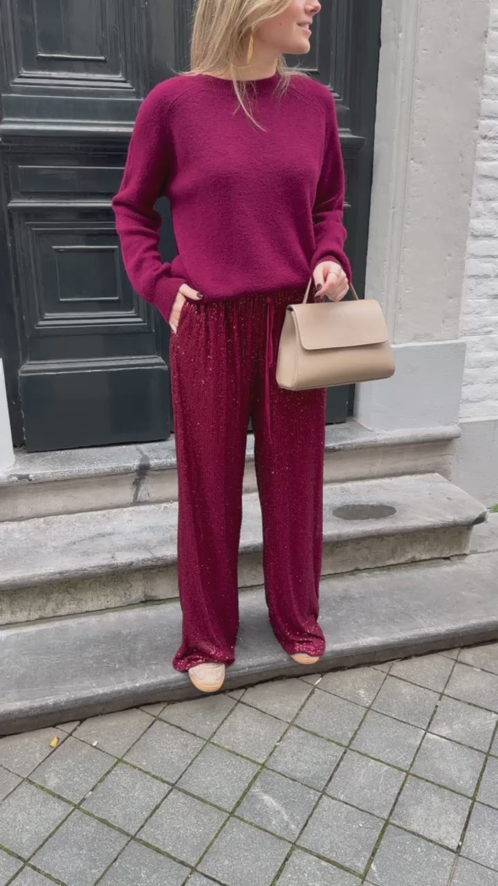 PAILLETTEN BROEK BORDEAUX